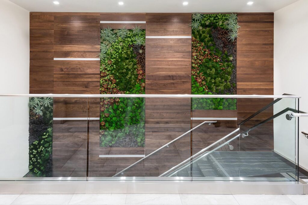 Mission Fed Green Wall for Wellness, Design by ID Studios, including feature green wall